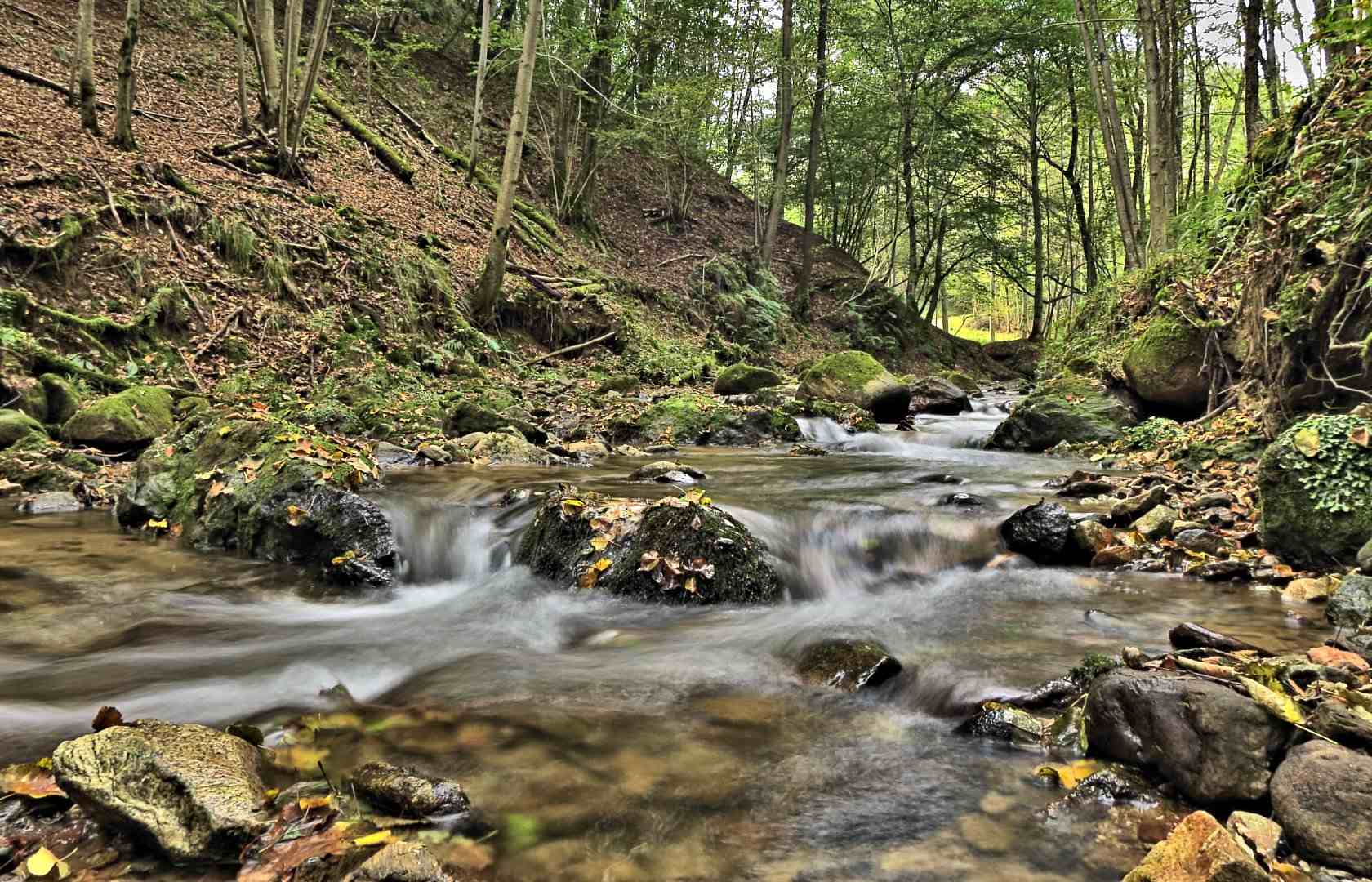 Nuove immagni del torrente Venenza